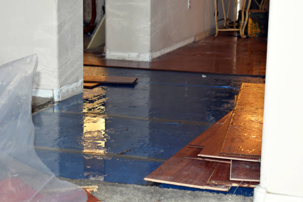 Professional Burst Pipe Cleanup technician working in Angora, MN